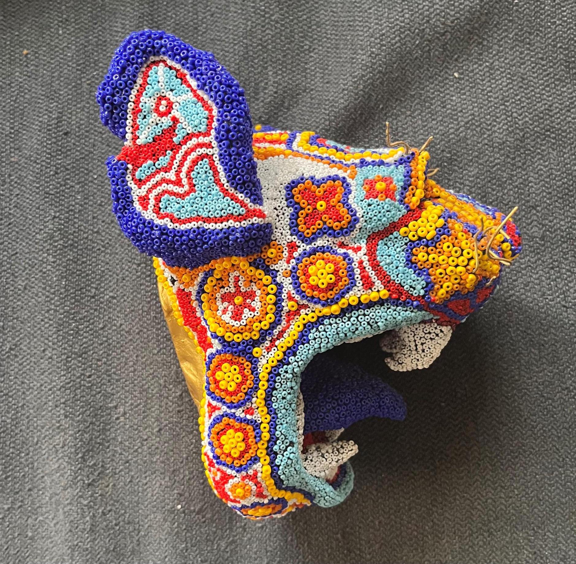 aguas huichol