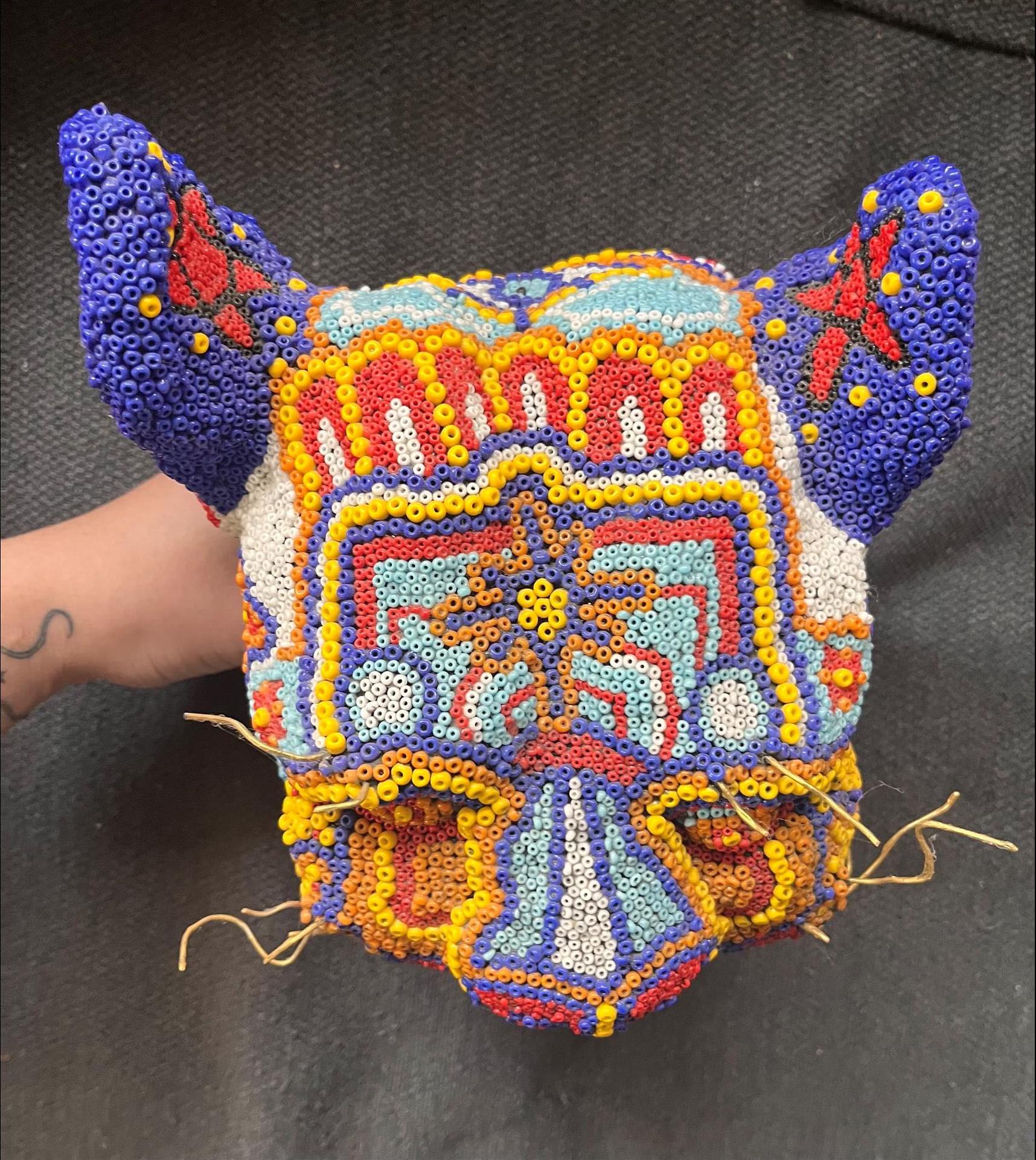 aguas huichol