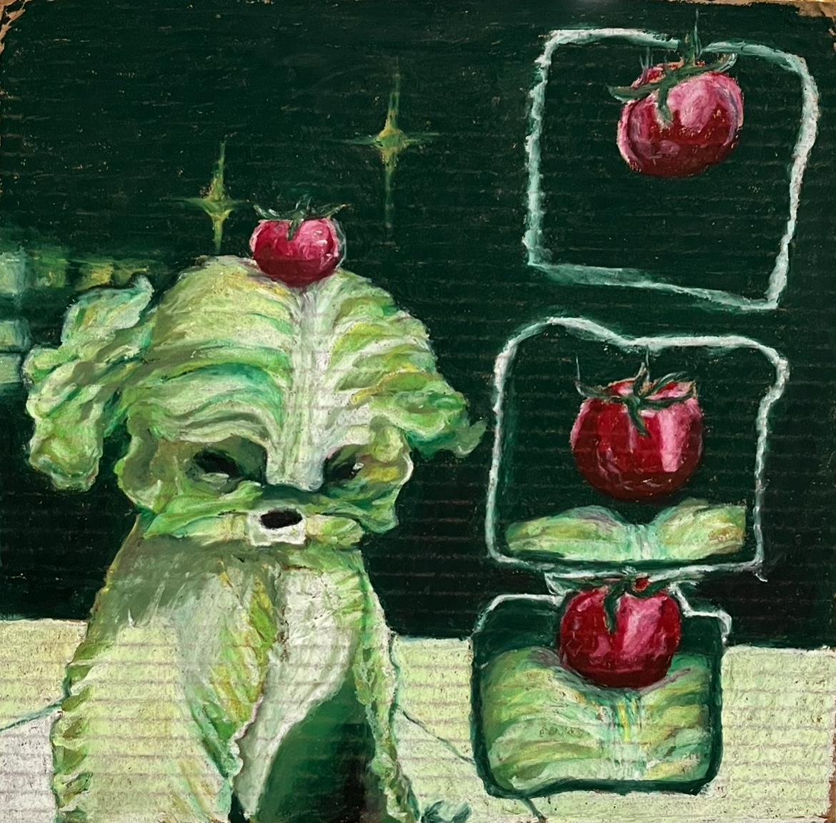 camello cabbage dog