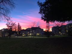 Sunset over Delta College