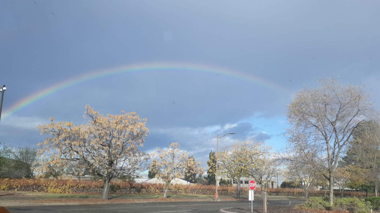 Rainbow over Delta College