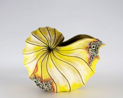 Yellow Nautilus by Emmie Wells
