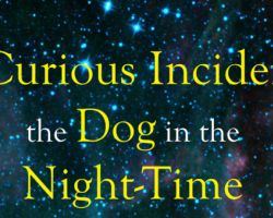 Curious Incident Promo Poster