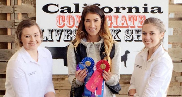 Delta agriculture wins at state fair